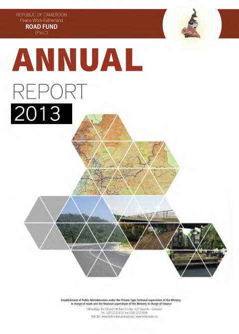 Rapport annuel 2013
