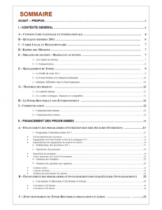Rapport annuel d’activités 2010